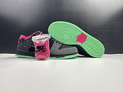 Nike SB Dunk Low Premier Northern Lights 724183-063 - 2