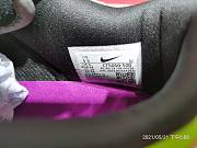 Nike Dunk Low SB Viotech VT5050-500 - 6