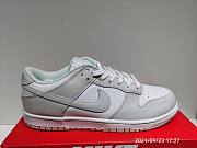 Nike Dunk Low Photon Dust (W) DD1503-103   - 6