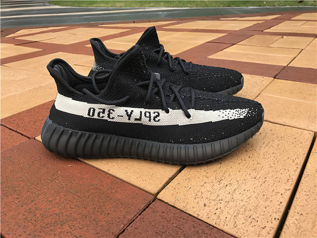 yeezy by1604