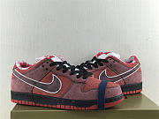 Nike SB Dunk Low Concepts Red Lobster 313170-661 - 2