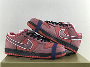 Nike SB Dunk Low Concepts Red Lobster 313170-661 - 4