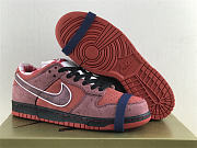 Nike SB Dunk Low Concepts Red Lobster 313170-661 - 5