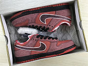 Nike SB Dunk Low Concepts Red Lobster 313170-661 - 6