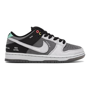 Nike SB Dunk Low VX1000 CV1659-001