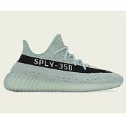 Adidas Yeezy 350 V2 Salt Core Black HQ2060 - 1