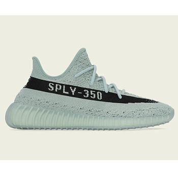Adidas Yeezy 350 V2 Salt Core Black HQ2060