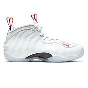 Nike Air Foamposite One USA (W) AA3963-102 - 1