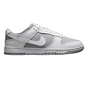 Nike Dunk Low Retro White Grey DJ6188-003 - 1
