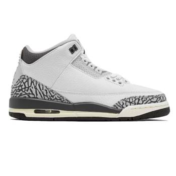 Air Jordan 3 Retro Hide N' Sneak (GS) DX6665-100