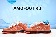 Nike SB Dunk Low Concepts Orange Lobster FD8776-800 - 6