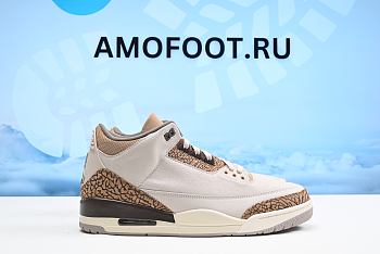 Air Jordan 3 Retro Palomino CT8532-102