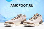 Air Jordan 3 Retro Palomino CT8532-102 - 2