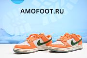 Nike Dunk Low Florida A&M University DR6188-800 - 2