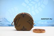 Louis Vuitton Brown Reverse Monogram Giant Coated Canvas & Vachetta Leather Boite Chapeau Souple MM Shoulder Bag 20cm - 4