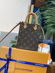 Louis Vuitton M81295 Petit Sac Plat Bag 14 x 17 x 5 cm - 5