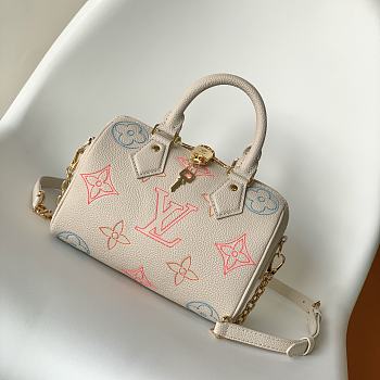 Louis Vuitton Vivienne Hawaii Bag Charm S00 20cm