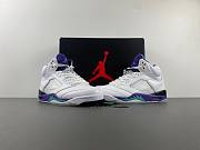 Air Jordan 5 Retro Grape (2013) 136027-108 - 5