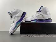 Air Jordan 5 Retro Grape (2013) 136027-108 - 2