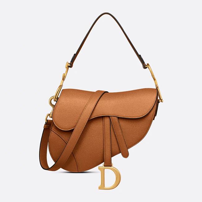 Dior Saddle Bag with Strap Golden Saddle Grained Calfskin 25.5 x 20 x 6.5 cm - 1