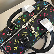 Louis Vuitton x Takashi Murakami Speedy Soft 30 Black Multicolored 21 x 17 x 30 cm - 6