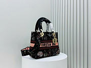 Medium Lady D-Lite Bag Black Embroidery with Multicolor Dior Cabinet de Curiosités Motif 24 x 21 x 12 cm - 5