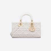 Medium Lady D-Joy Bag Latte Graphic Cannage Calfskin 26 x 13.5 x 5 cm - 1