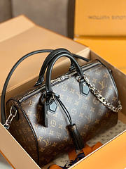Louis Vuitton Speedy Soft 30 Dark 21 x 17 x 30 cm - 6