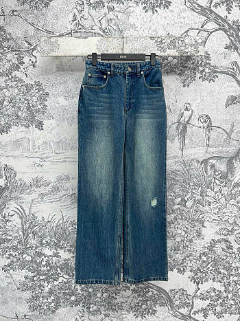 Christian Dior Dior Blue Denim Oblique