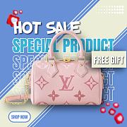 Louis Vuitton Speedy Bandouliere 20 Degrade Rose Pink 20.5x13.5x12cm - 1