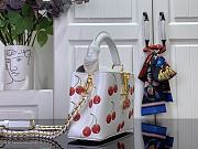 LV x TM Capucines Mini Bag M13251 21 x 13.6 x 8 cm - 3