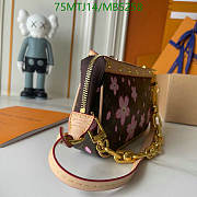Louis Vuitton x Takashi Murakami Cherry Blossom Pochette Accessoires Sakura Brown M13666 22 x 13 x 4 cm  - 5