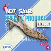 Gucci Horsebit Slingback Pumps Beige Canvas (Women's) 782627 2HK80 9763 - 1