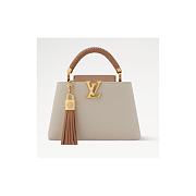 Louis Vuitton Capucines BB M25466 27 x 17.3 x 9 cm - 1