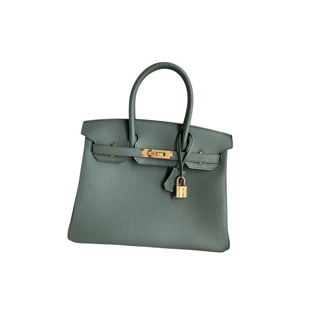 Hermes Birkin 25 Bag green Gold Togo GHW 25cm x 20cm x 13cm - 1