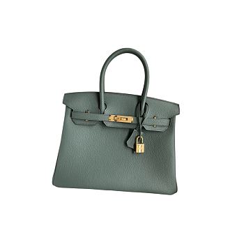 Hermes Birkin 25 Bag green Gold Togo GHW 25cm x 20cm x 13cm