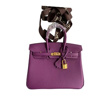 Hermes Birkin 25 Bag purple Gold Togo GHW 25.0 cm x 20.0 cm x 13.0 cm