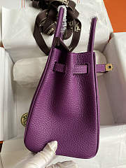 Hermes Birkin 25 Bag purple Gold Togo GHW 25.0 cm x 20.0 cm x 13.0 cm - 2