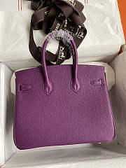 Hermes Birkin 25 Bag purple Gold Togo GHW 25.0 cm x 20.0 cm x 13.0 cm - 3