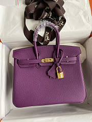 Hermes Birkin 25 Bag purple Gold Togo GHW 25.0 cm x 20.0 cm x 13.0 cm - 4