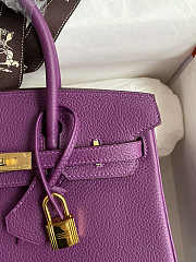 Hermes Birkin 25 Bag purple Gold Togo GHW 25.0 cm x 20.0 cm x 13.0 cm - 6