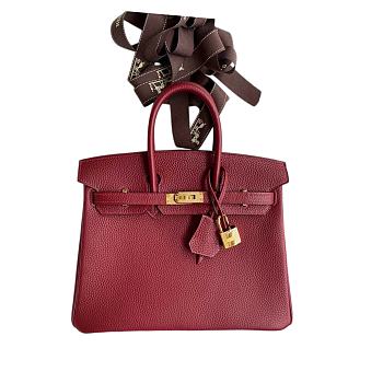 Hermes Birkin 25 Bag red Gold Togo 045368 25.0 cm x 20.0 cm x 13.0 cm