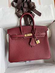 Hermes Birkin 25 Bag red Gold Togo 045368 25.0 cm x 20.0 cm x 13.0 cm - 6