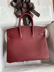 Hermes Birkin 25 Bag red Gold Togo 045368 25.0 cm x 20.0 cm x 13.0 cm - 4