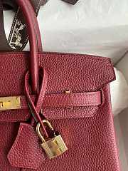Hermes Birkin 25 Bag red Gold Togo 045368 25.0 cm x 20.0 cm x 13.0 cm - 3