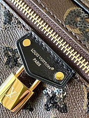 Louis Vuitton Vanity Chain Pouch M47125 7.5 x 4.5 x 2.6  inches - 4