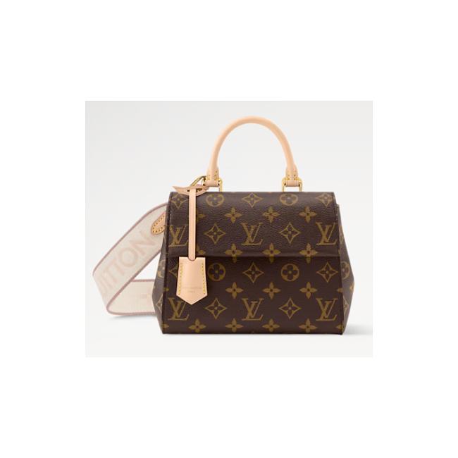 Louis Vuitton Cluny Mini M13040 20 x 16 x 7.5 cm - 1