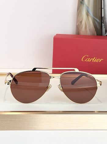 Cartier MODE CT0354S sunglasses