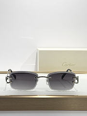 Cartier MOD: CT0869S diamond-cut sunglasses - 1