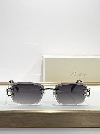 Cartier MOD: CT0869S diamond-cut sunglasses